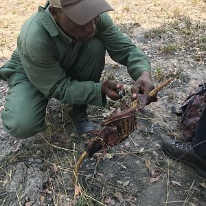 Roasted Duiker ribs