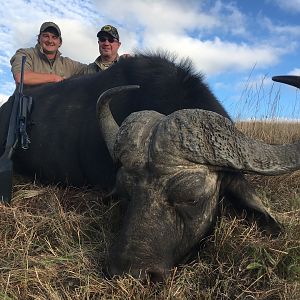 Cape Buffalo Hunting South Africa