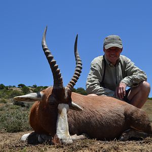 Hunt Blesbok in South Africa