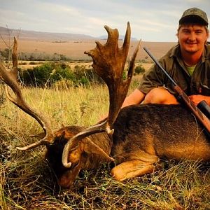 Hunting Fallow Deer in South Africa