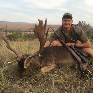 Fallow Deer Hunting South Africa