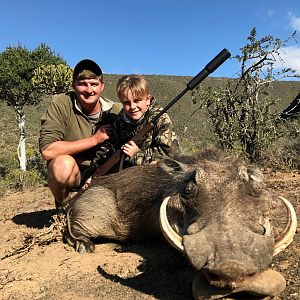 South Africa Hunt Warthog