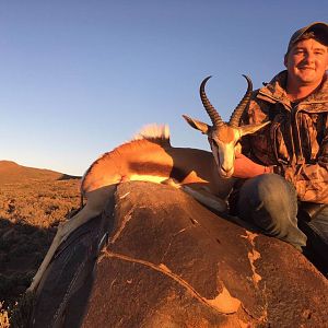 South Africa Hunt Springbok