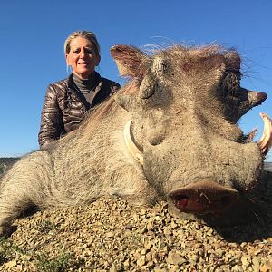 Warthog Hunt South Africa