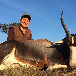 Hunting Bontebok in South Africa