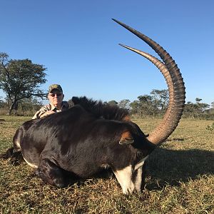 Sable Antelope Hunting South Africa