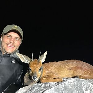 South Africa Hunt Cape Grysbuck