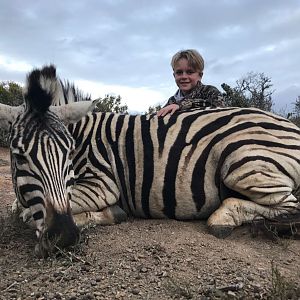 Burchell's Plain Zebra Hunting South Africa