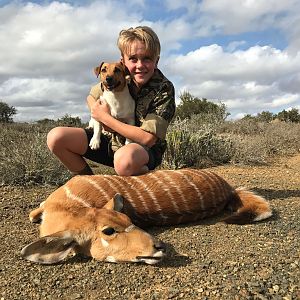 South Africa Hunting Female Nyala