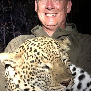 Hunting Leopard in Zimbabwe