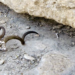 Leopard Canyon littered with Kudu bones