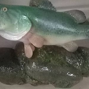 Largemouth Bass Full Mount Taxidermy