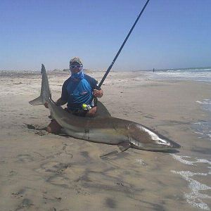 Bronze Whaler Shark Fishing Namibia