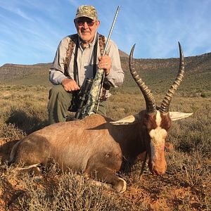 South Africa Hunting Blesbok