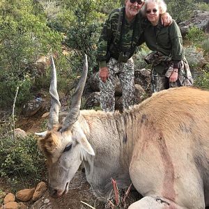 Eland Hunt South Africa