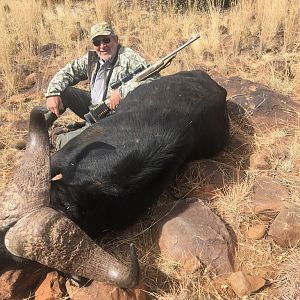 Hunting Cape Buffalo in South Africa