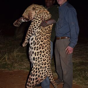 Leopard Hunt Namibia