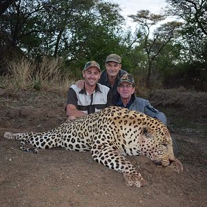 Hunting Leopard in Namibia