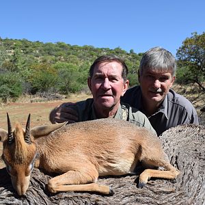 Damara Dik Dik Hunting Namibia