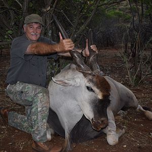 Hunting Eland in Namibia