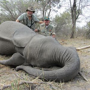 Elephant Hunt Namibia