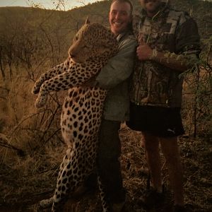 Hunt Leopard in Namibia