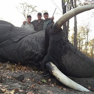 Hunting Elephant in Namibia