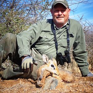 Namibia Hunting Damara Dik Dik