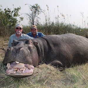 Hippo Hunt Namibia