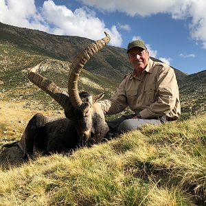 SCI Gold Gredos Ibex