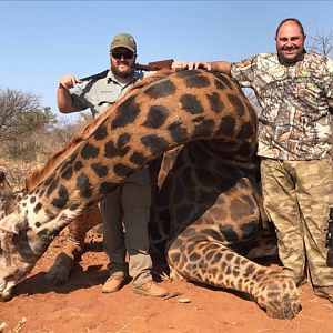 Giraffe Hunting South Africa