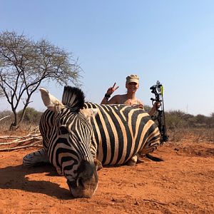 South Africa Bow Hunt Burchell's Plain Zebra