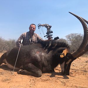 Sable Antelope Bow Hunting South Africa