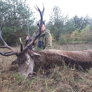 Hunting Red Stag in Romania