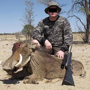 Warthog Hunt Namibia