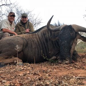 Hunting Blue Wildebeest in South Africa