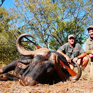 Hunt Cape Buffalo in South Africa