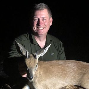 Zimbabwe Hunting Sharpe's Grysbok