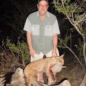 Caracal Hunt South Africa