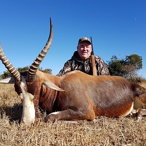 Blesbok Hunting South Africa