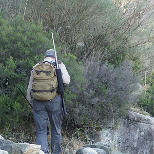 Climbing into the Gredos Mountains