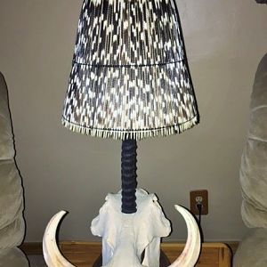 Lamp made out of Warthog Skull and Porcupine quills