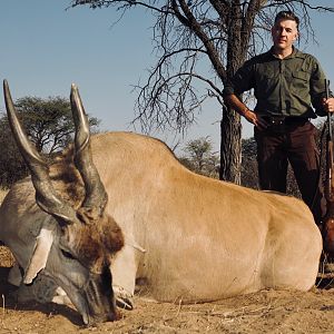 Eland Hunt Namibia