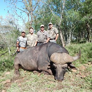 Hunting Cape Buffalo in South Africa