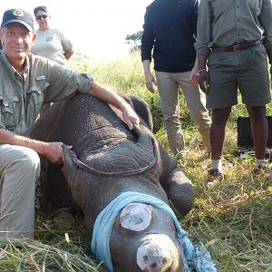 Volunteering on wildlife reserves and with wildlife veterinarians in Africa