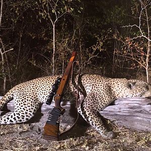 Tanzania Hunting Leopard