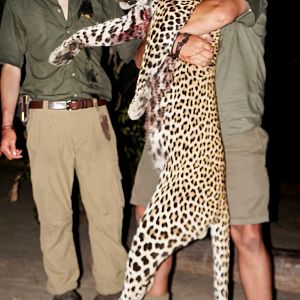 Leopard Hunting Tanzania