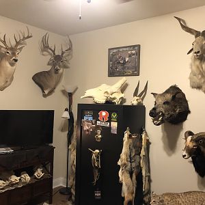 Trophy Room