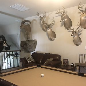 Trophy Room