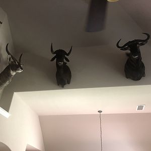 Trophy Room